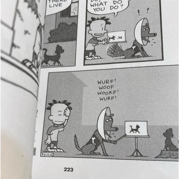 Big Nate out Loud Preteen/teen books. Amulet. The strange case of origami Yoda. - Picture 14 of 15